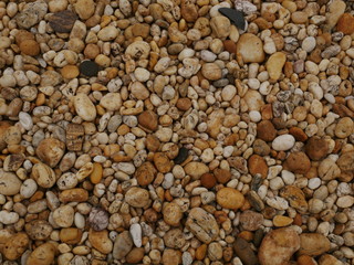 rock stone texture background