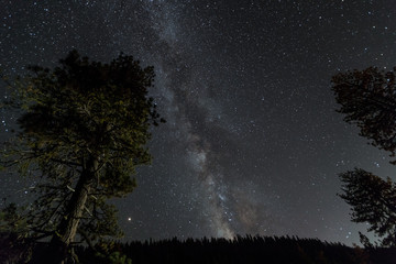 Milchstra&szlig;e am Sternenhimmel vom Sequoia National Park