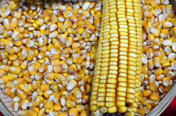 Corn and corn kernel