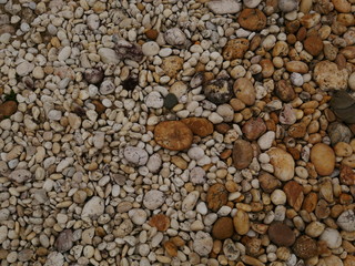 pebbles on the beach,stone concrete wall background