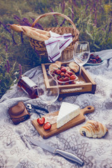 Picnic in the meadow