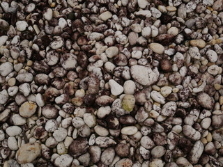 pebbles on the beach,texture of sand,stone  rock wall background