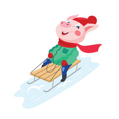 Funny pig sledding from the mountain. Vector