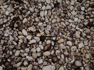 pebbles on the beach,texture of sand,stone  rock wall background