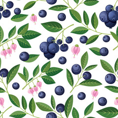 Seamless pattern with blueberries, sprigs, flowers. Vector