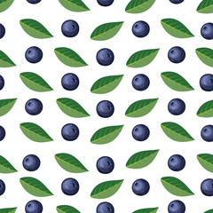 Seamless pattern with blueberries and leaves. Vector