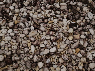 garden of stone,sand stone floor background,rock