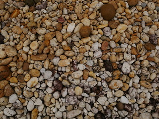 garden of stone,sand stone floor background,rock