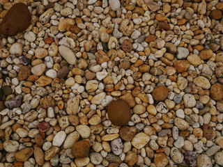 garden of stone,sand stone floor background,rock