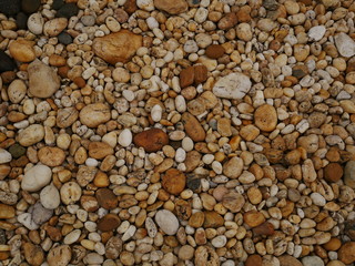 garden of stone,sand stone floor background,rock