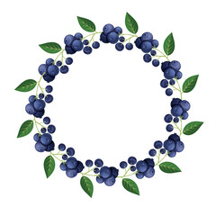 Round frame with delicious blueberry fruit. Vector illustration