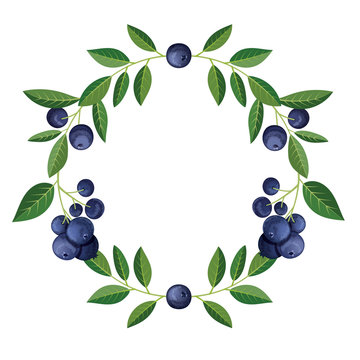 Round frame with delicious blueberry fruit. Vector illustration