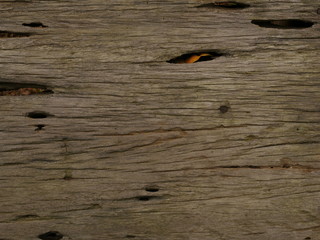 Fototapeta premium 100 year old black wood