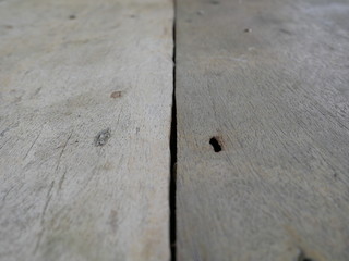 gray wood texture,wooden background