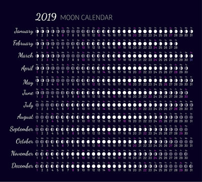 Moon illumination and moon age at 2019 year. Daily planner of lunar cycles. Lunar stages calendar. Dates for full, new moon and every phase in between. Cycles of the moon vector illustration.