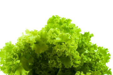 Lettuce, Healthy Vegetables