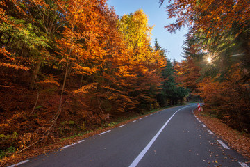 Fototapeta premium Autumn road