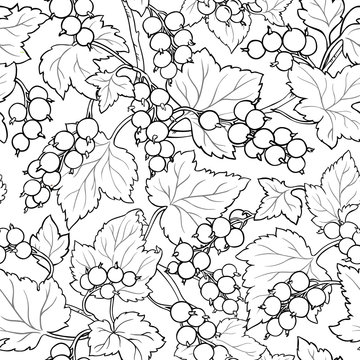 red currant pattern
