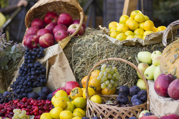 in the garden: the autumn harvest fruit in the hay.
