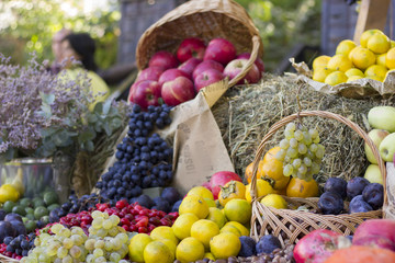 in the garden: the autumn harvest fruit in the hay.