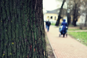 Obraz premium city spring pathway