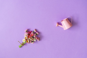 Summer creative composition in minimal style. White and pink Marguerite daisy flowers bouquet and small watering can on light lilac background. Gardening concept, top view, flat lay, copy space