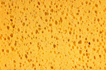 orange bath sponge