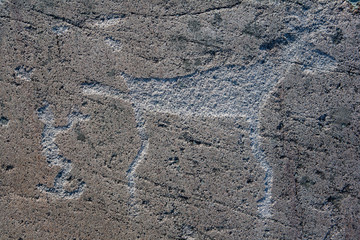 Ancient rock paintings, petroglyphs in a natural park