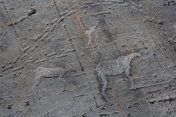 Ancient rock paintings, petroglyphs in a natural park