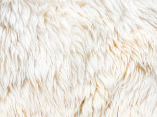 Fur carpet