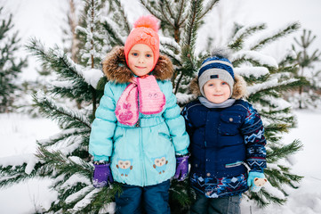 Funny little kids staying under Christmas snowy tree outdoor in wood. Children on winter holidays. Young happy boy with girl together at nature. Cheerful babies posing in snow in front of spruce tree.