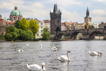 View to the Charles Bridge and St. Nikolaus Church in Prague