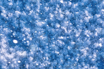 Texture of ice in winter. Pieces of frozen water on a street in