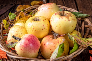 Naklejka na ściany i meble fresh and tasty organic apples in a basket