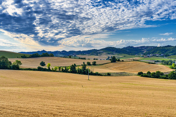 Landscape near Moncalvo, Monferrato, Italy