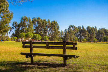 Wooden Bench in the Country, under a Blue Sky