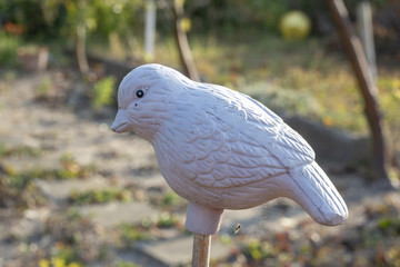 Vogel Statur 