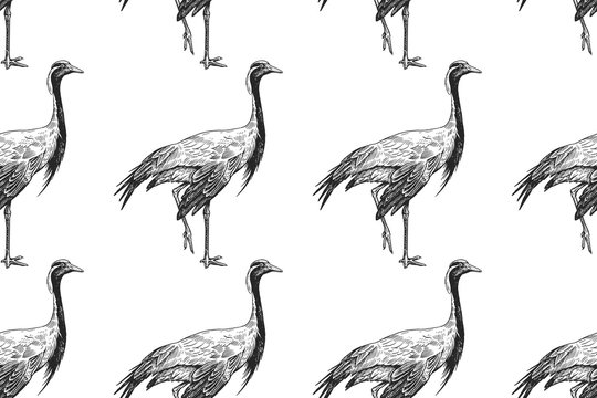 Birds cranes. Seamless pattern. Black and white.
