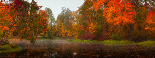 autumn panorama