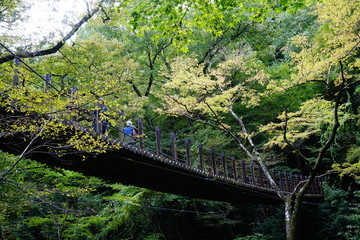 汐見滝吊り橋