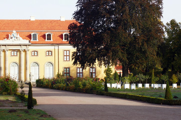 Fototapeta na wymiar Schloss Mosigkau in Dessau-Roßlau