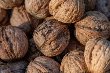 Walnuss (Juglans regia), Detail