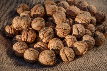 Frische Walnüsse auf Jute
