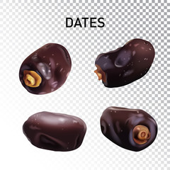 Vector realistic illustration of dried dates on a transparent background.