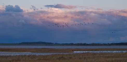 Trompetenrufe am Abendhimmel