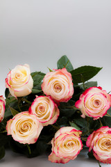 Bouquet of roses on grey background.