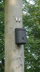 Winter quarter, sleeping place, hiding place. Accommodation for small bats   © anela47