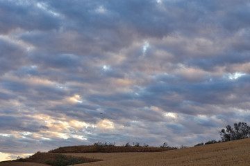 Fototapeta na wymiar Stormy sunset in the fields