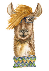 Stylish llama with glasses and a colored scarf. Portraits. Watercolor illustration.