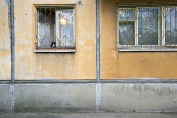 Cat on the windowsill